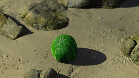 watermelon resting on sandy beach near stones during sunny day