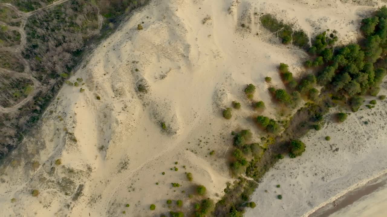Aerial shot that reveal pines forest of Arcachon from the Pyla dune