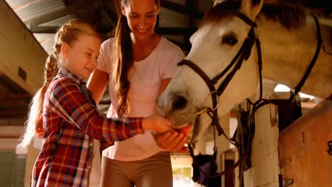 madre e hija alimentando a un caballo 4k