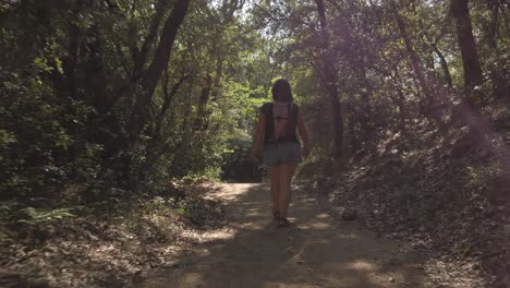 hembra y su perro caminando en un bosque cuando la luz del sol atraviesa los árboles