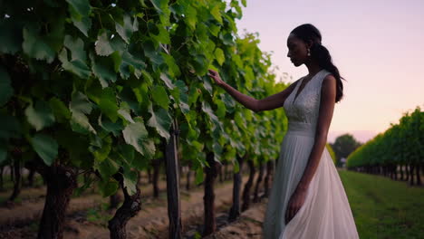 elegant bride in a vineyard at sunset