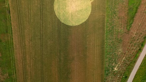 Bird's-Eye-View-Over-Crop-Circle-Formation-In-Wheat-Field---Drone-Shot