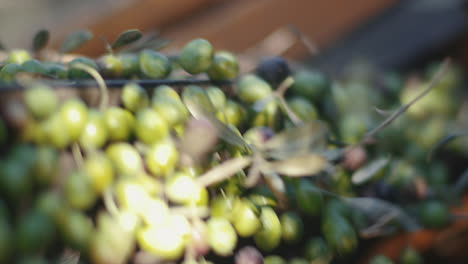 olives