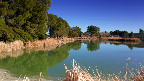 The-Stunning-Scenery-Of-The-Lake-With-Green-Trees-and-Clear-Blue-Sky-Above---Wide-Shot