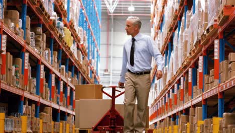 manager walking with a pallet truck