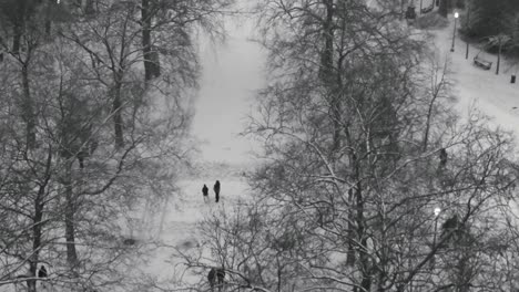 Vista-En-Blanco-Y-Negro-Del-Parque-De-Bruselas-En-Invierno