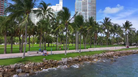 waterfront urban park with palm trees and city buildings
