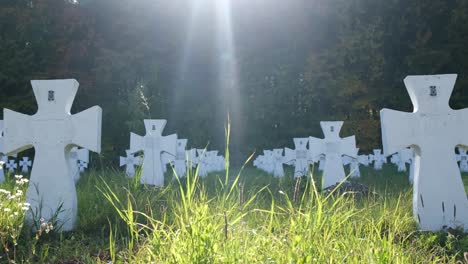 cemetery with white crosses for soldiers of world war ii zolochiv ukraine july 20 2022 cemetery with white crosses for soldiers of world war ii high quality video