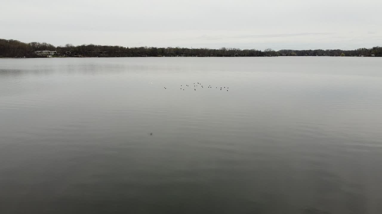 lago rebaños este grand rapids michigan drones imágenes aéreas