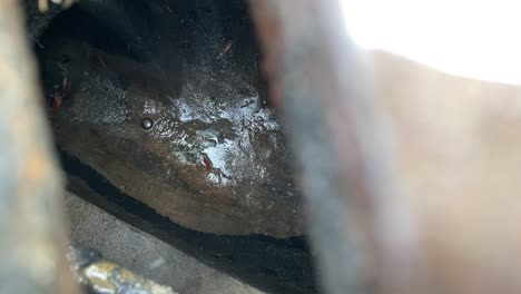 water runs into a manhole cover storm drain on a city street 1