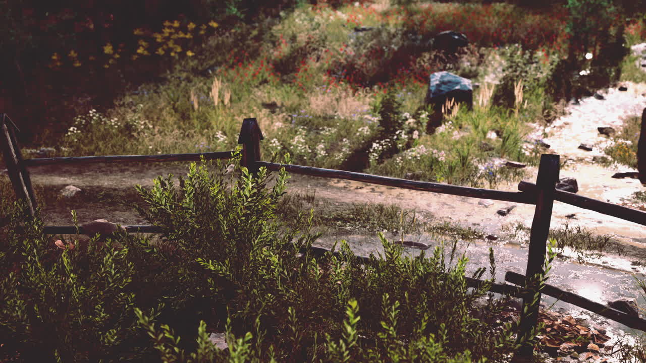 옛 나무 울타리 와 숲 을 가로지르는 산책길