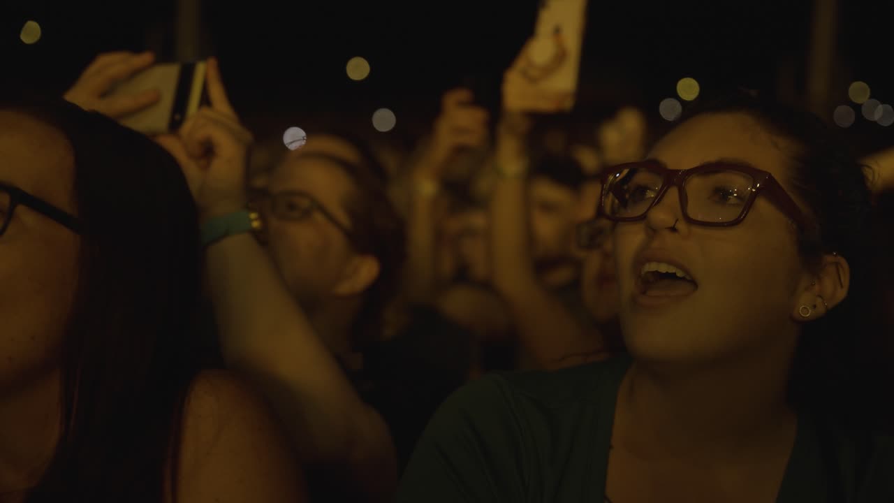 Energetic Crowd Enjoying a Night Concert