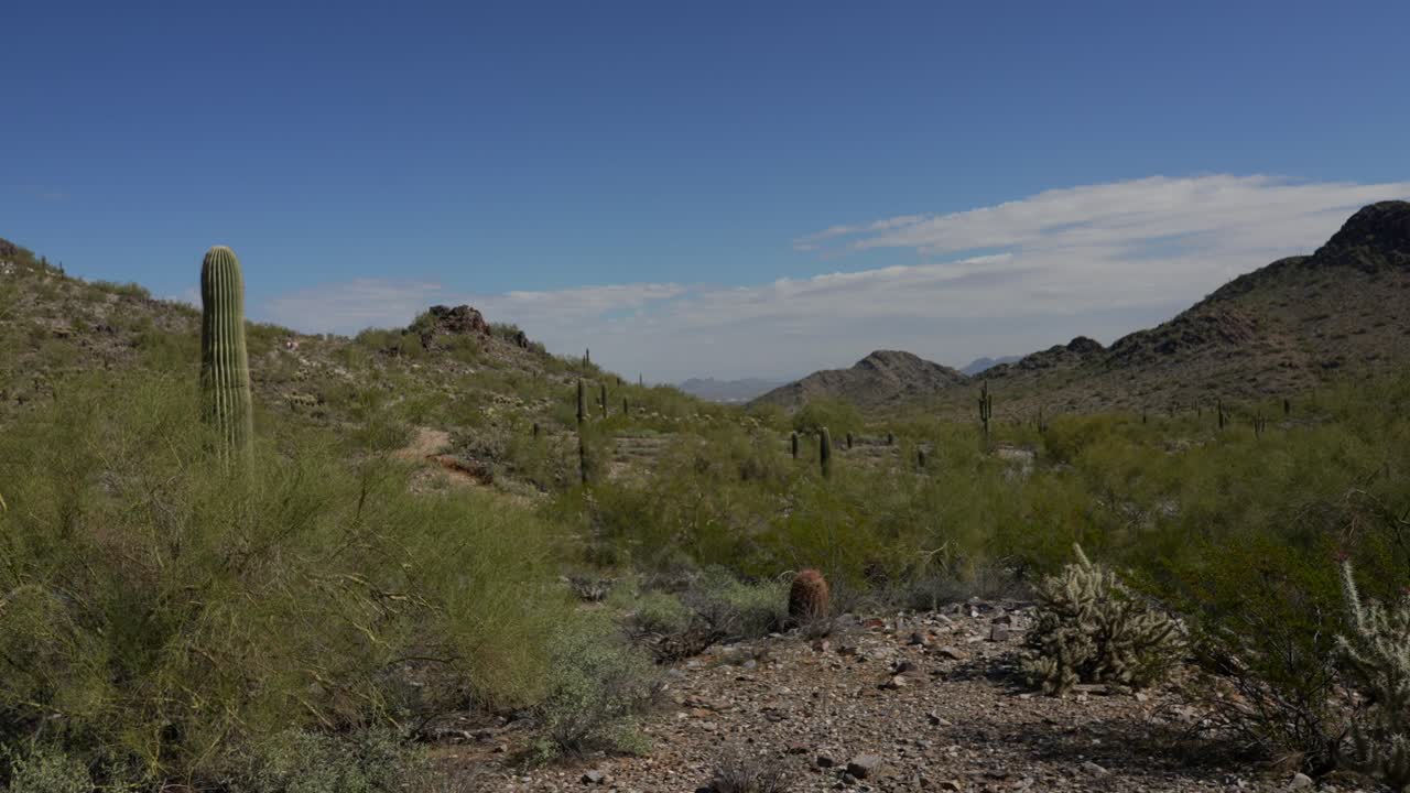 panorámica del paisaje del desierto de arizona