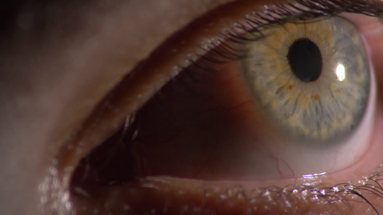 인간의 눈, 상세한 홍채 및 동공의 극단적인 클로즈업