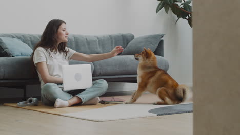 Süßes-Mädchen-Füttert-Ihren-Hund,-Während-Sie-Zu-Hause-An-Ihrem-Laptop-Arbeitet-1