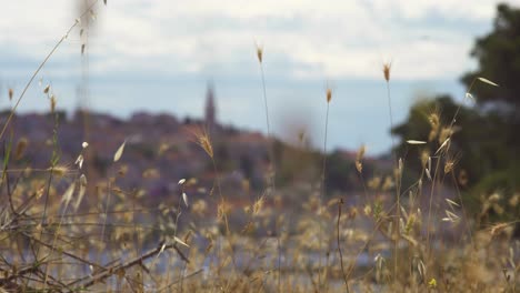 Verschwommene-Küstenstadt-Am-Mittelmeer-Mit-Einem-Turm-Hinter-Trockenem-Gelbem-Gras,-Das-Im-Wind-Weht