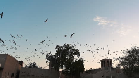 Pájaros-Sobre-El-Barrio-Histórico-Al-Fahidi-De-Dubai,-Emiratos-árabes-Unidos