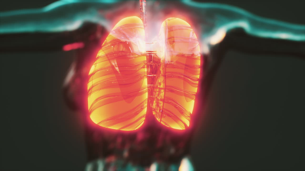 holograma de pulmones inflamados en el cuerpo humano
