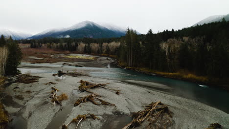 Fallen-Trees-on-the-Hoh-River-In-Daytime-In-Olympic-Peninsula,-Washington,-USA