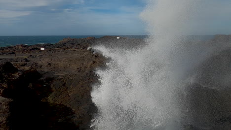 action shot of water spurting from a blow hole while tourists look on