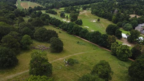 arial drone view of richmond park and golf course in london