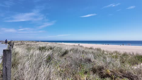 dunas de arena y playa en el mar báltico