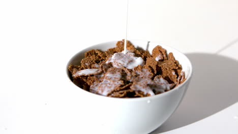 milk falling in a wheat cereals bowl