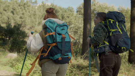 back view of two young female backpackers hiking with trekking poles in the forest on a sunny day