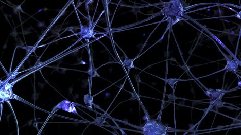 journey through a network of neuronal cells and synapses in the brain through which electrical impulses and discharges pass