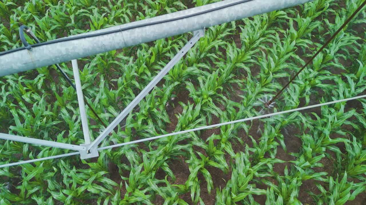 campos de maíz de oklahoma - rociadores aéreos