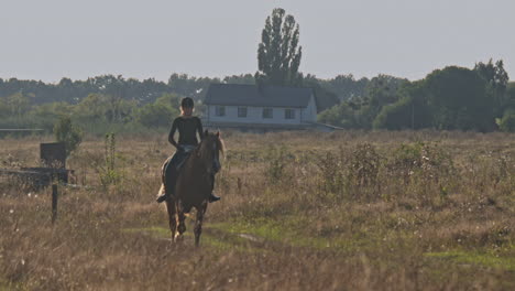 young woman riding horse in field with wildflowers