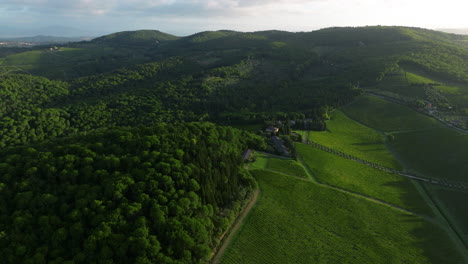 aerial view of tuscan vineyard and countryside