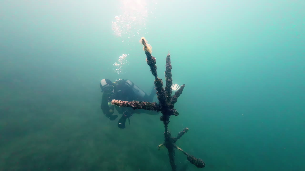 오래된 거리 표지판 에 의해 어두운 담수 호수 에서 스쿠버 다이버