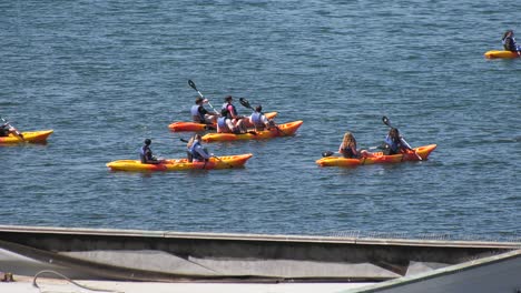 kayakers move through a harbor