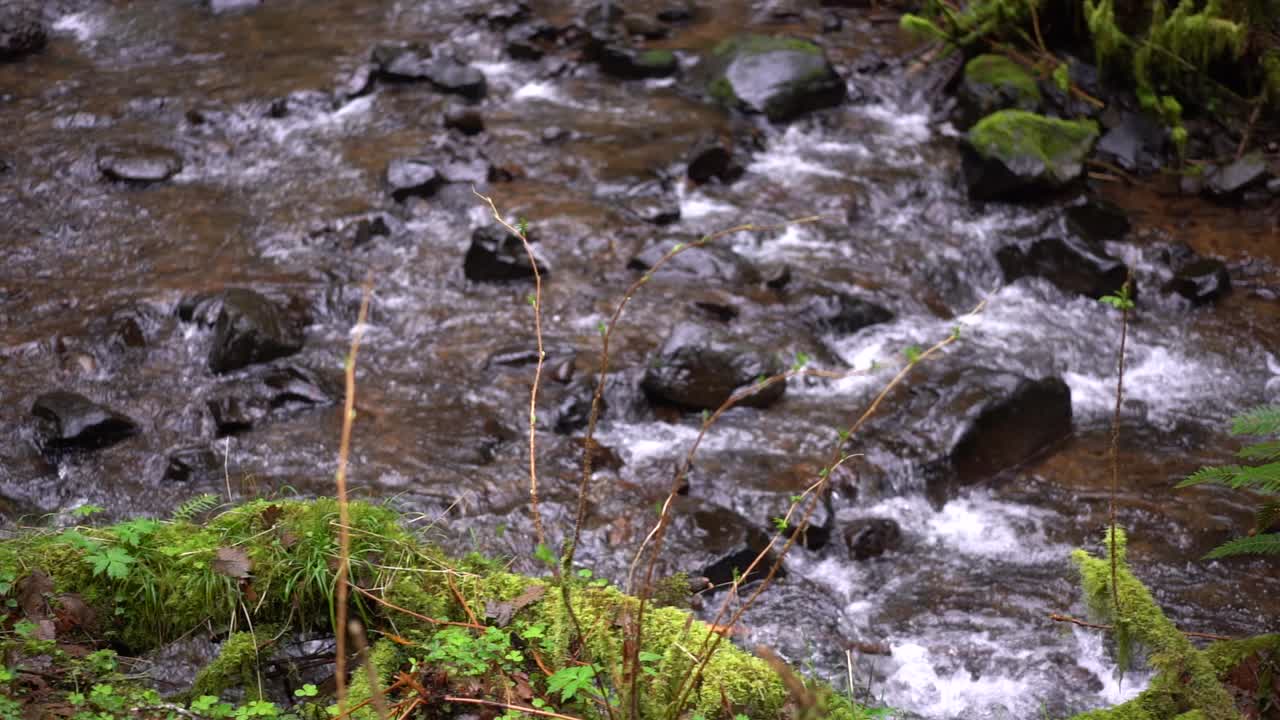 large river flowing through rocks