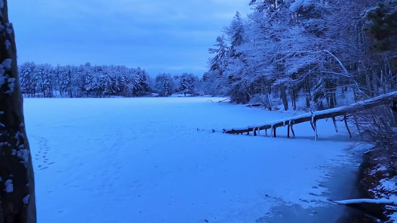 Voo de drone numa floresta congelada durante um dia de inverno dramático junto a um lago gelado, North Andover, Massachusetts, EUA.