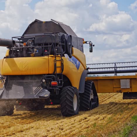 seasonal harvesting of wheat