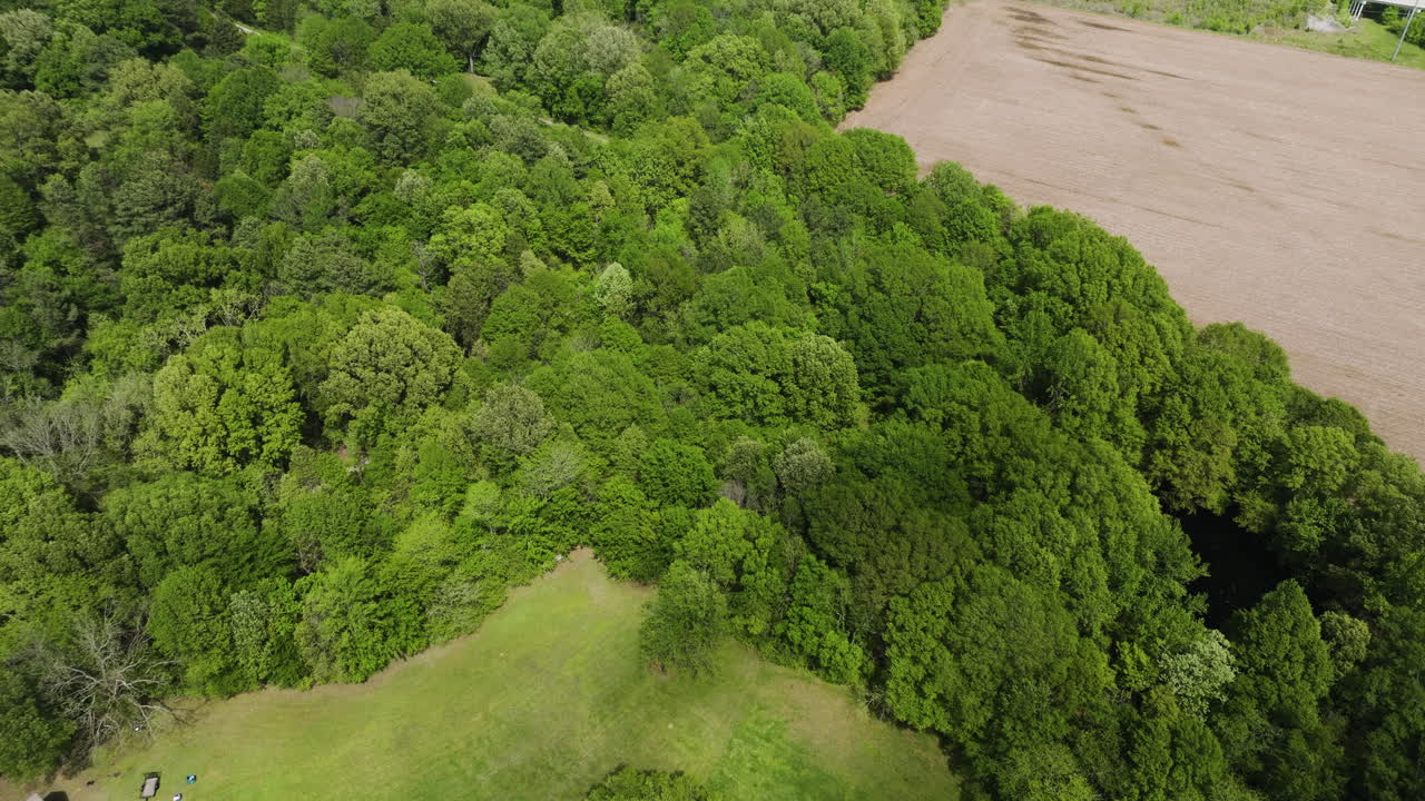 vista aérea de drones de bosques densamente verdes cerca de collierville en el condado de shelby, tennessee, estados unidos