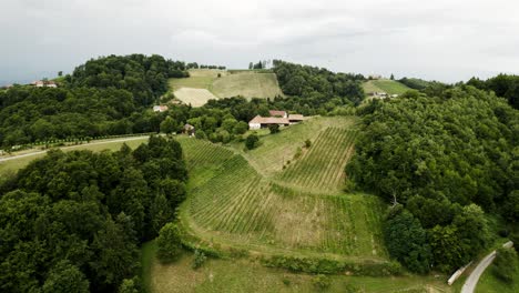 drone image of a vineyard in austria