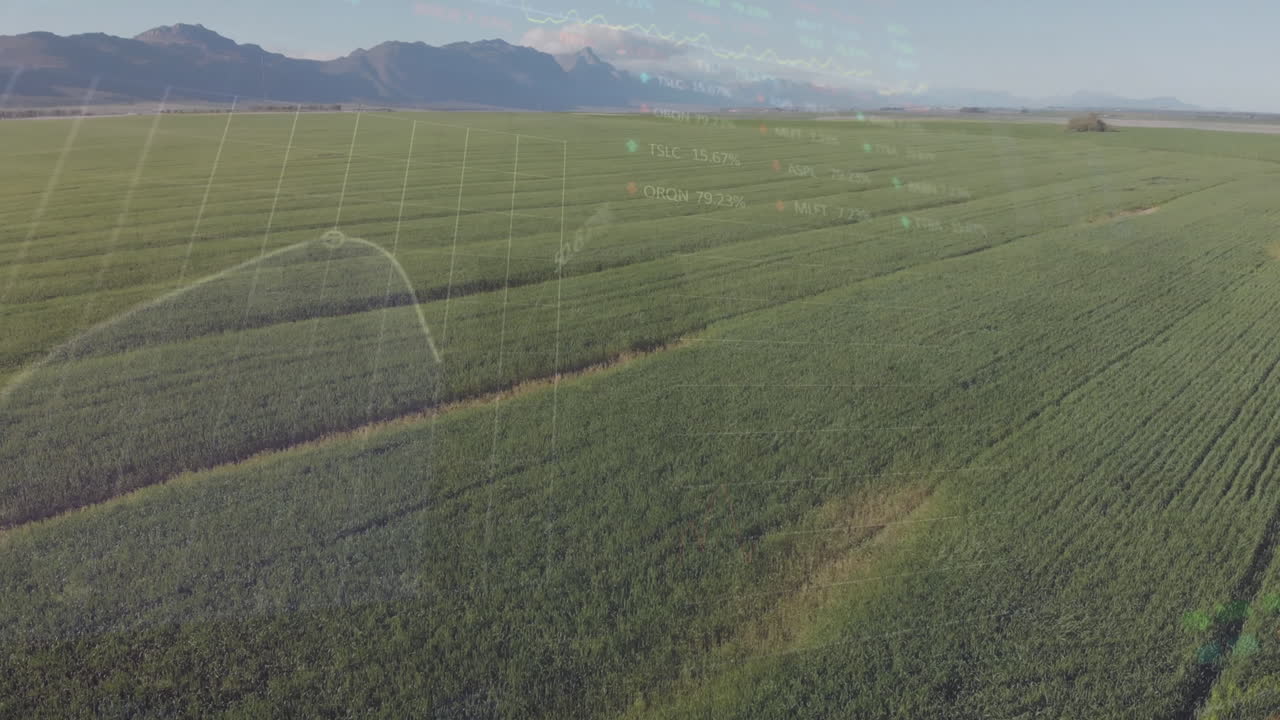 animación del procesamiento de datos financieros en los campos