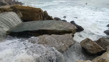 pequeña cascada fluye hacia el mar, la gaviota vuela