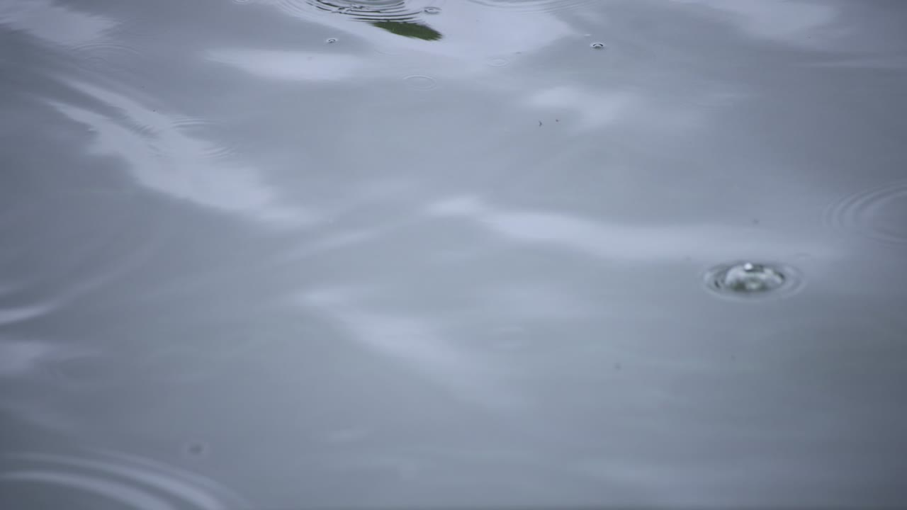 물속의 방울의 느린 움직임 연못의 비가 오는 날 클로즈업