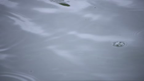 un movimiento lento de la gota de lluvia en el agua el estanque primer plano de un día lluvioso