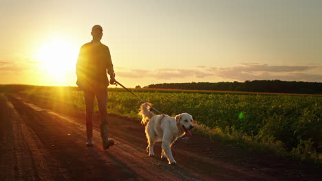 man walking dog on a country road at sunset