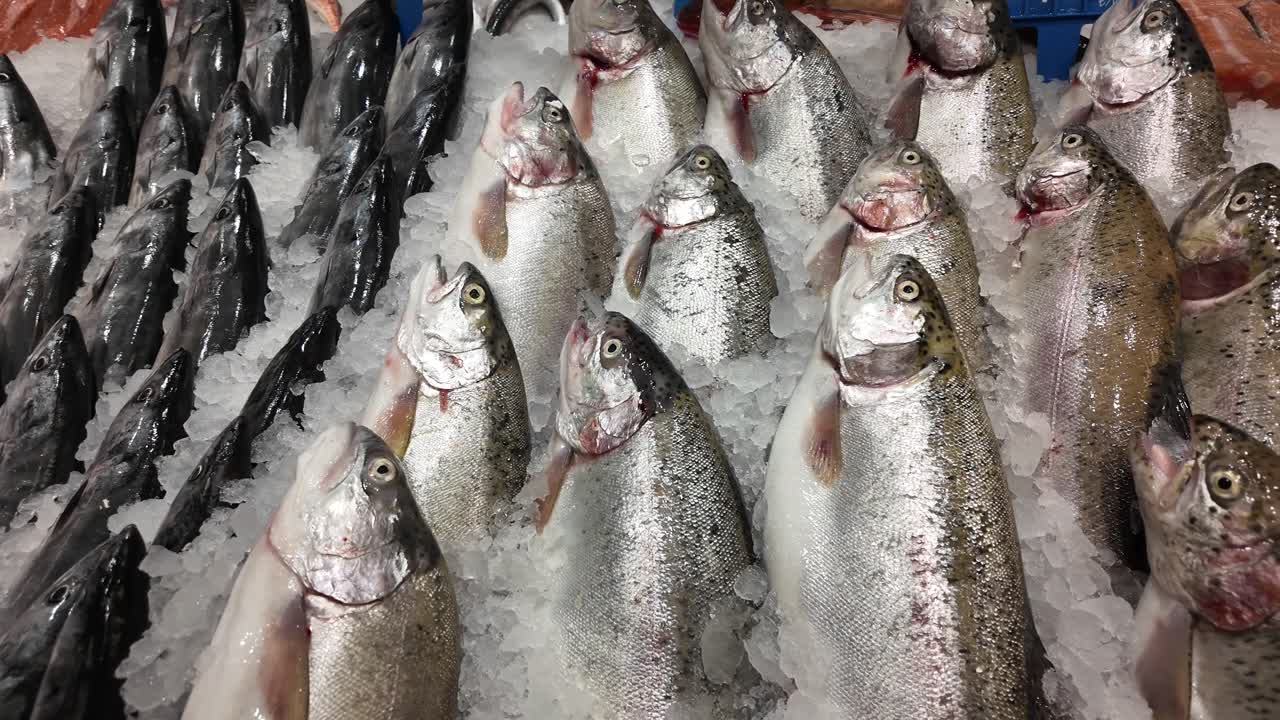 pescado fresco en hielo