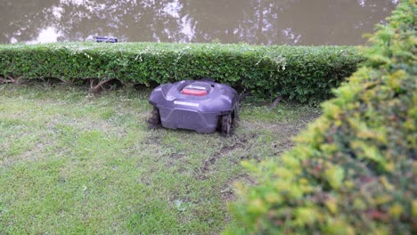 el robot cortador de césped se atascó mientras cortaba el césped - disparo de ángulo alto