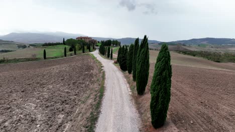 camino de tierra bordeado de cipreses en toscana, italia