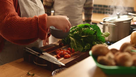 woman chopping vegetables in the kitchen