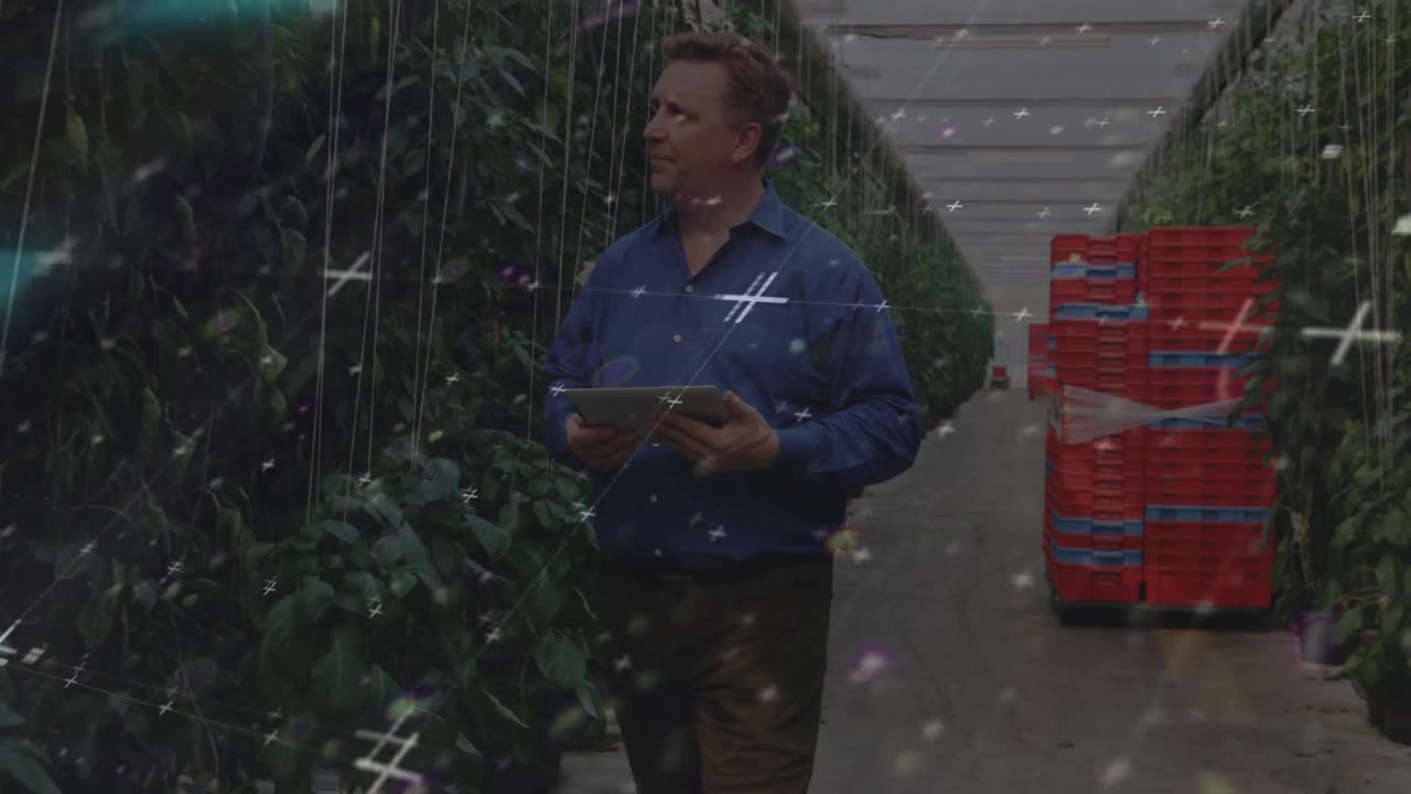 Agriculture supervisor entering greenhouse aisle and tapping tablet while inspecting plant health