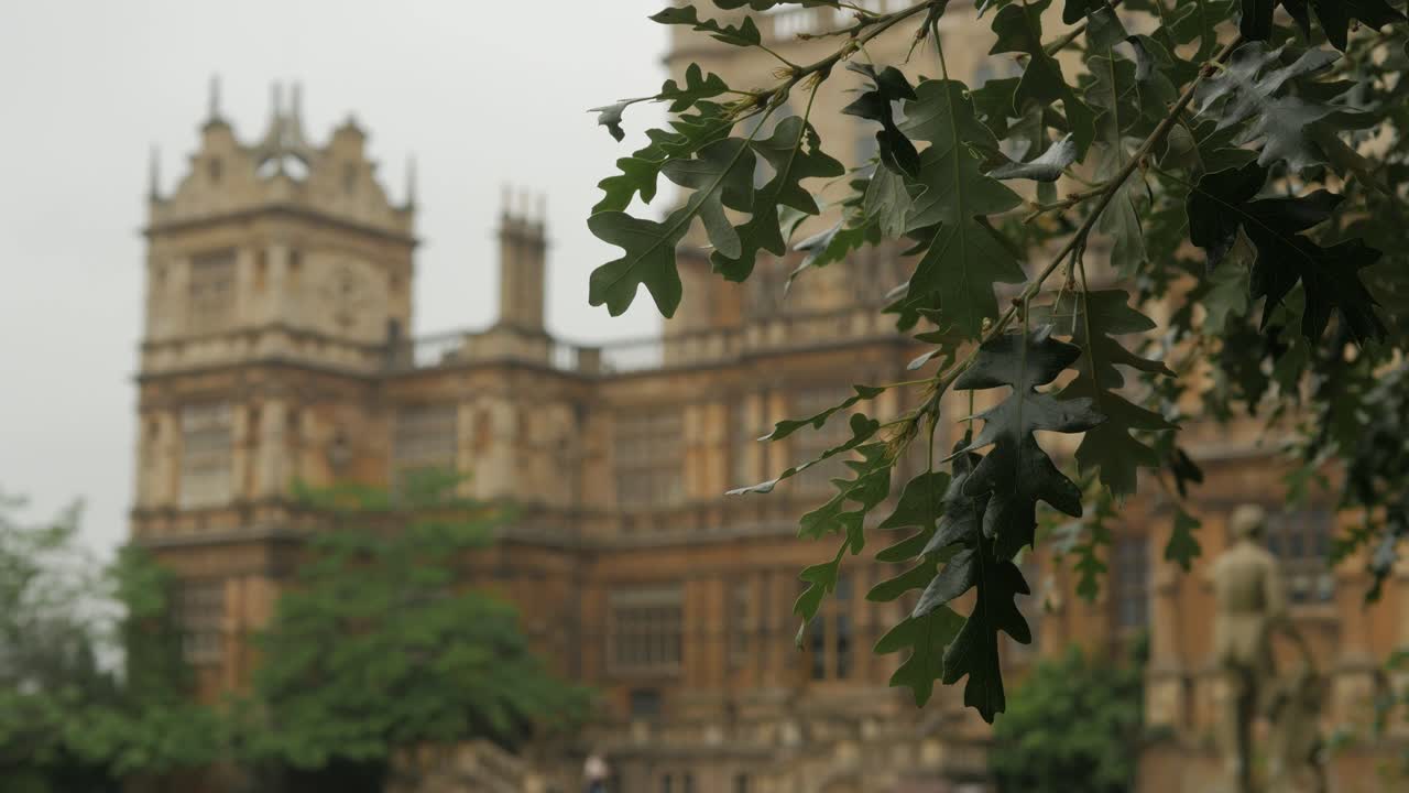 hojas de roble en el viento en el histórico wollaton hall en nottingham